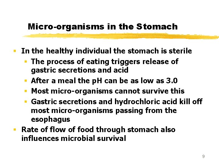 Micro-organisms in the Stomach § In the healthy individual the stomach is sterile §