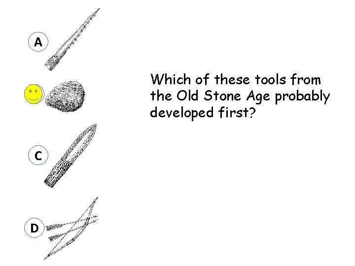 A B C D Which of these tools from the Old Stone Age probably