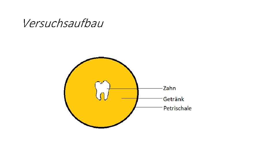 Versuchsaufbau 