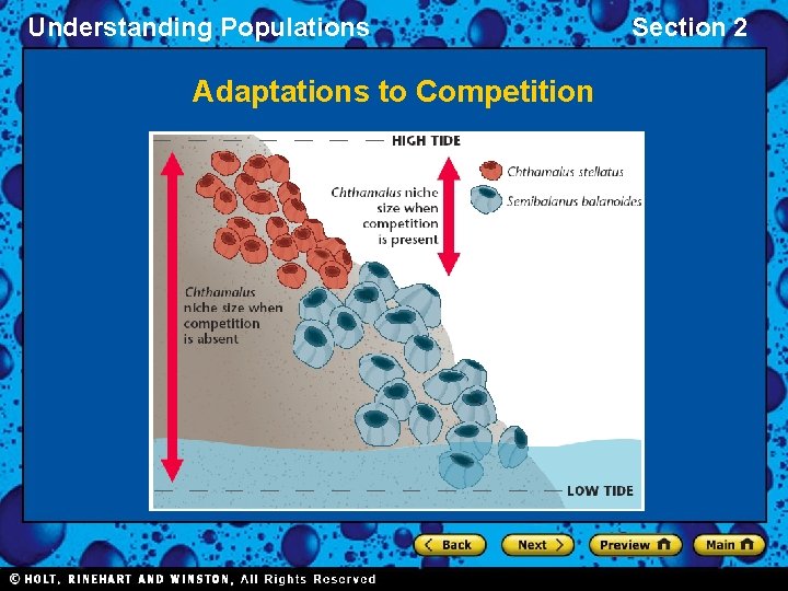 Understanding Populations Adaptations to Competition Section 2 