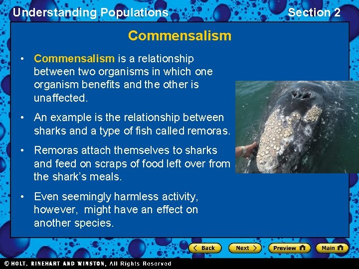 Understanding Populations Commensalism • Commensalism is a relationship between two organisms in which one