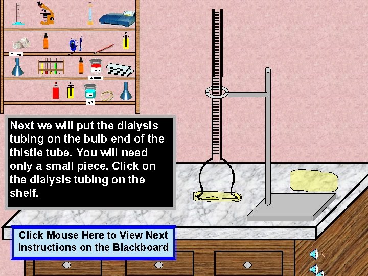 Tubing Sucrose H 2 O Next we will put the dialysis tubing on the Tubing Sucrose H 2 O Next we will put the dialysis tubing on the