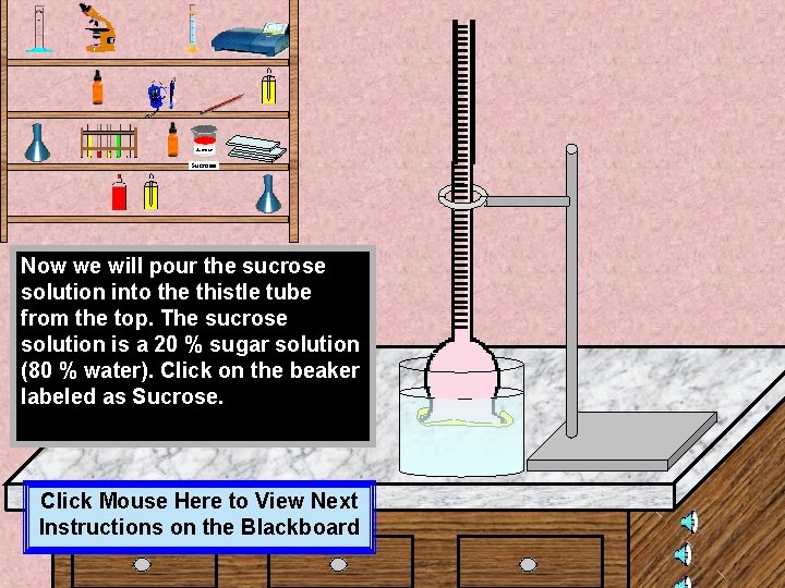 Sucrose Now we will pour the sucrose solution into the thistle tube from the Sucrose Now we will pour the sucrose solution into the thistle tube from the