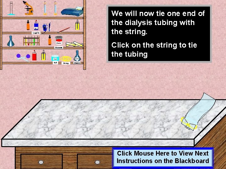 We will now tie one end of the dialysis tubing with the string. Lugol’s We will now tie one end of the dialysis tubing with the string. Lugol’s