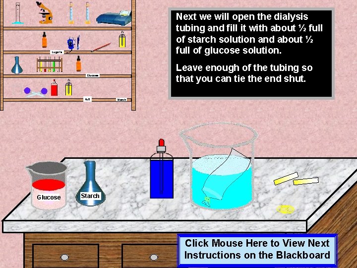 Next we will open the dialysis tubing and fill it with about ½ full Next we will open the dialysis tubing and fill it with about ½ full