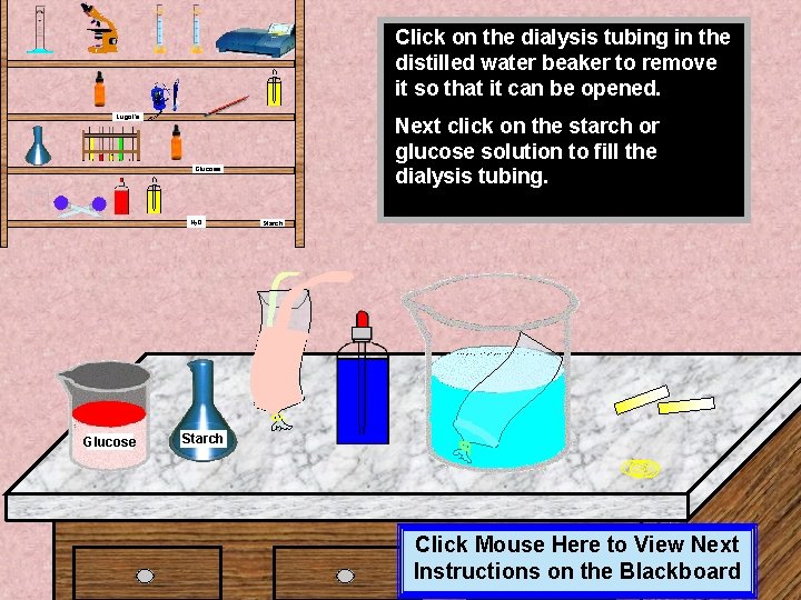 Click on the dialysis tubing in the distilled water beaker to remove it so Click on the dialysis tubing in the distilled water beaker to remove it so