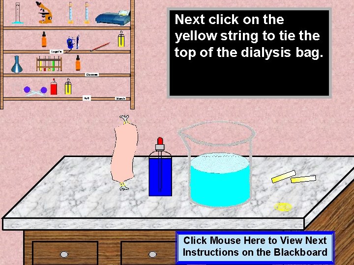 Next click on the yellow string to tie the top of the dialysis bag. Next click on the yellow string to tie the top of the dialysis bag.