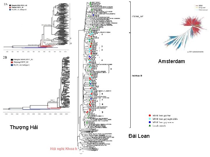 Amsterdam Thượng Hải Đài Loan Hội nghị Khoa học Quốc gia về Phòng, Chống