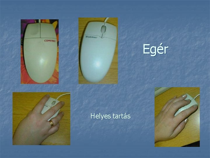 Egér Helyes tartás 