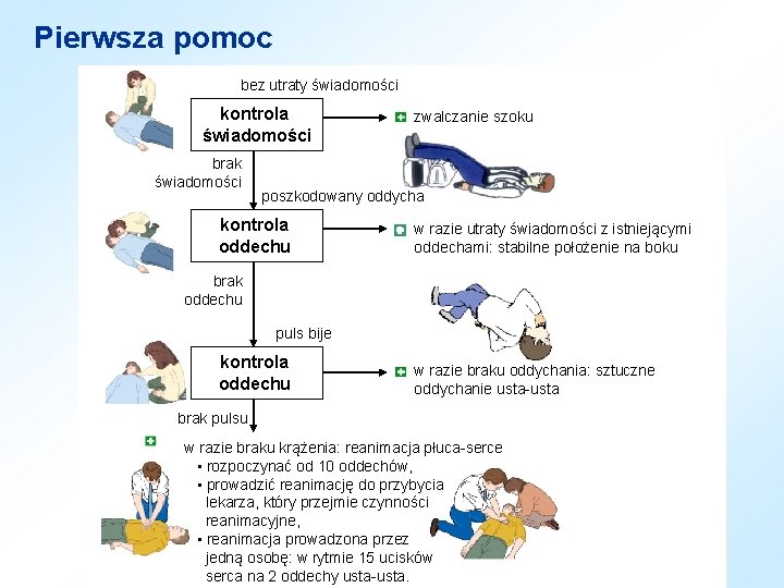 Pierwsza pomoc bez utraty świadomości kontrola świadomości brak świadomości zwalczanie szoku poszkodowany oddycha kontrola Pierwsza pomoc bez utraty świadomości kontrola świadomości brak świadomości zwalczanie szoku poszkodowany oddycha kontrola