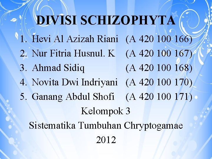 DIVISI SCHIZOPHYTA 1. 2. 3. 4. 5. Hevi Al Azizah Riani (A 420 100