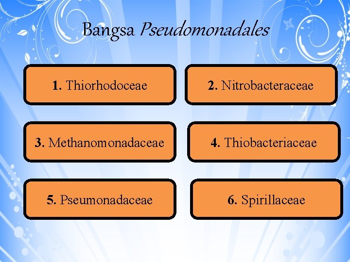 Bangsa Pseudomonadales 1. Thiorhodoceae 2. Nitrobacteraceae 3. Methanomonadaceae 4. Thiobacteriaceae 5. Pseumonadaceae 6. Spirillaceae