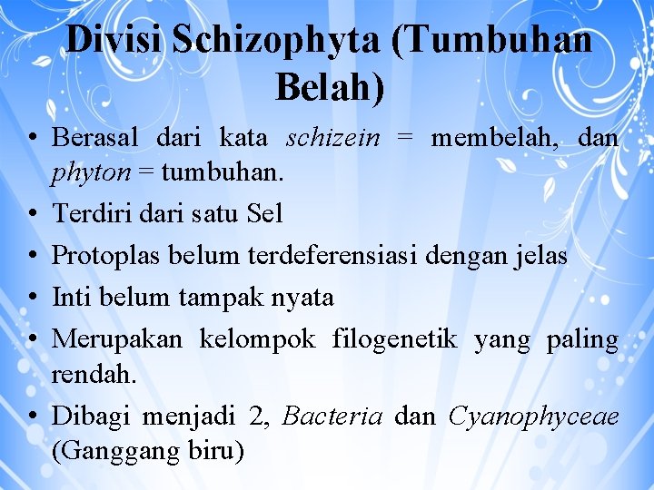 Divisi Schizophyta (Tumbuhan Belah) • Berasal dari kata schizein = membelah, dan phyton =