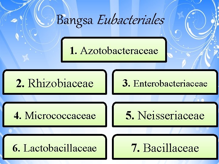 Bangsa Eubacteriales 1. Azotobacteraceae 2. Rhizobiaceae 3. Enterobacteriaceae 4. Micrococcaceae 5. Neisseriaceae 6. Lactobacillaceae