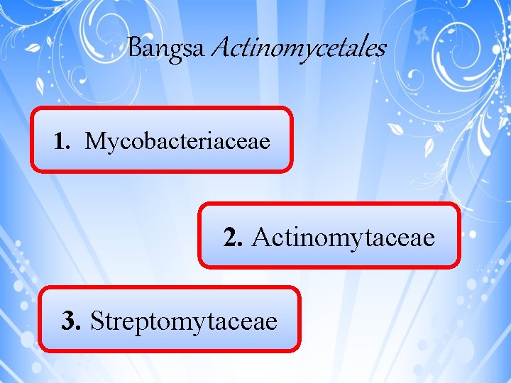 Bangsa Actinomycetales 1. Mycobacteriaceae 2. Actinomytaceae 3. Streptomytaceae 