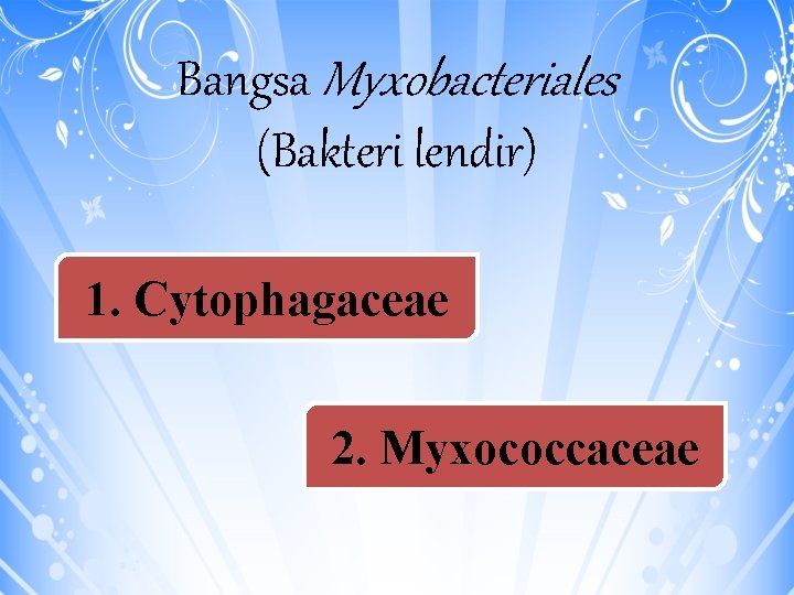 Bangsa Myxobacteriales (Bakteri lendir) 1. Cytophagaceae 2. Myxococcaceae 