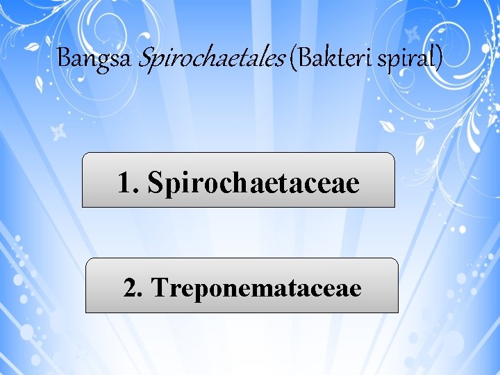 Bangsa Spirochaetales (Bakteri spiral) 1. Spirochaetaceae 2. Treponemataceae 