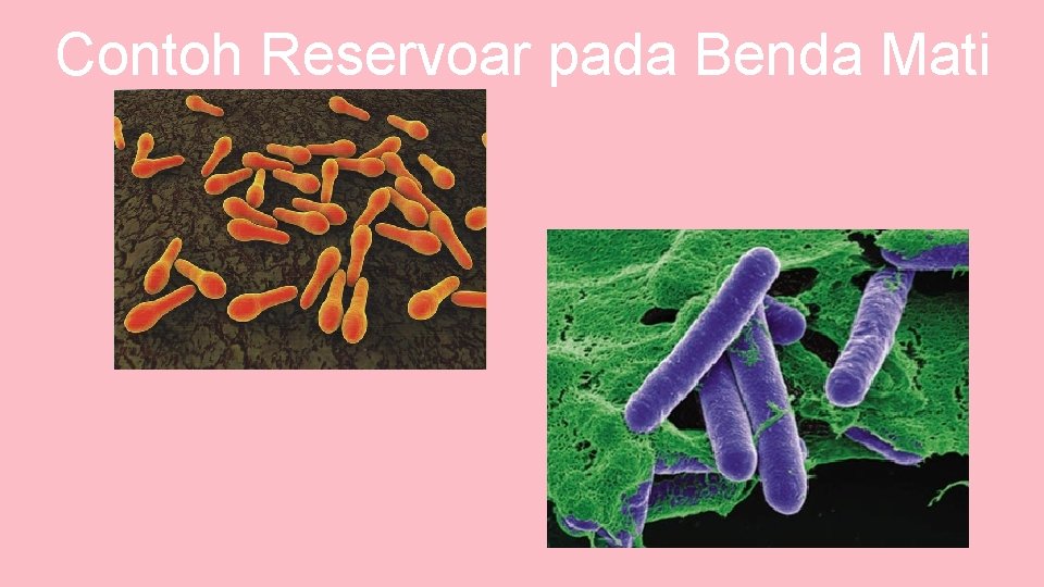 Contoh Reservoar pada Benda Mati 