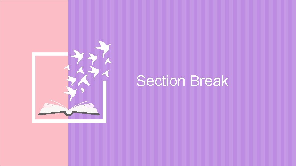 Section Break 