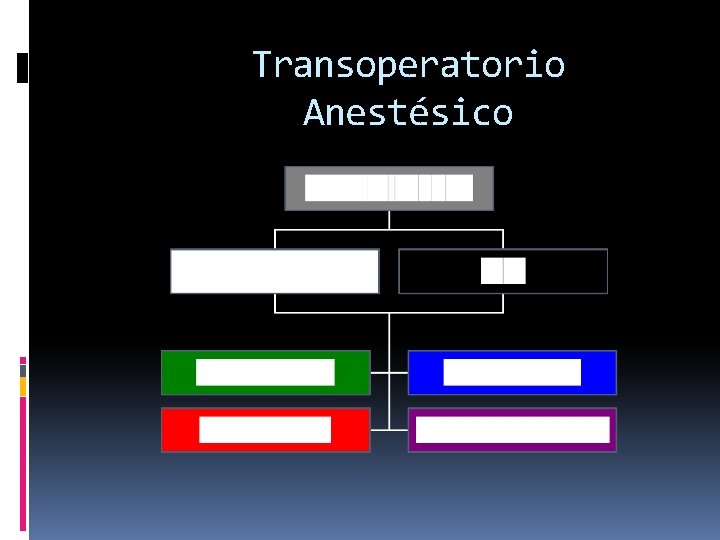 Transoperatorio Anestésico 