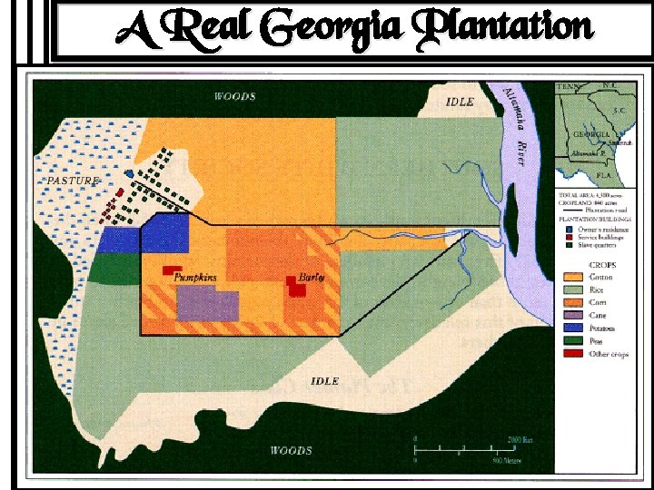 A Real Georgia Plantation 