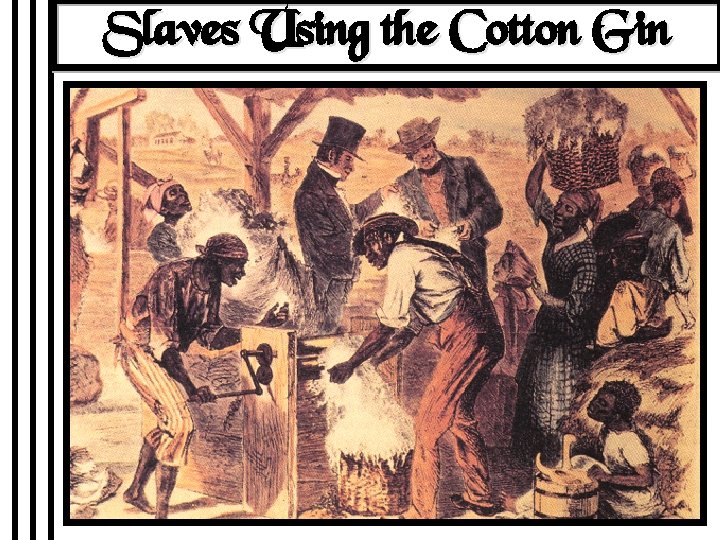 Slaves Using the Cotton Gin 