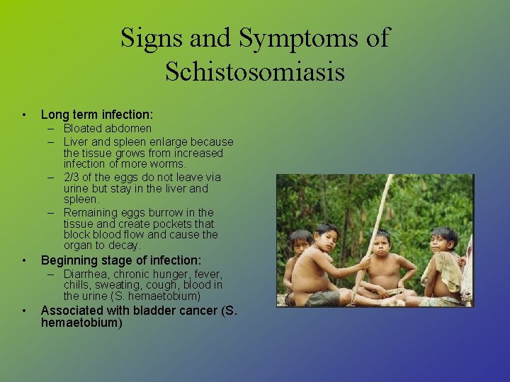 schistosomiasis signs and symptoms
