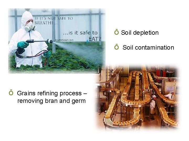 Ō Soil depletion Ō Soil contamination Ō Grains refining process – removing bran and