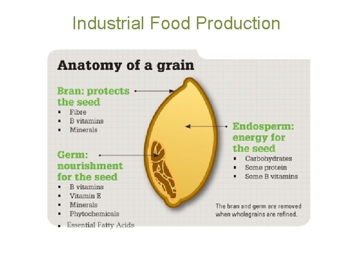 Industrial Food Production 