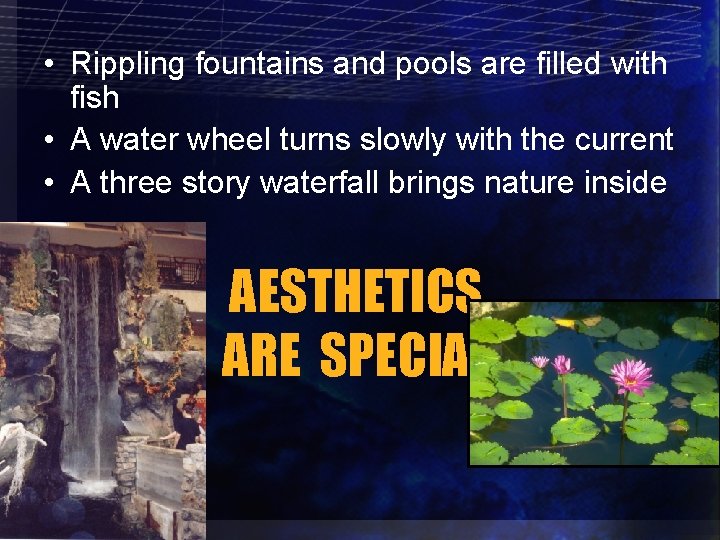  • Rippling fountains and pools are filled with fish • A water wheel