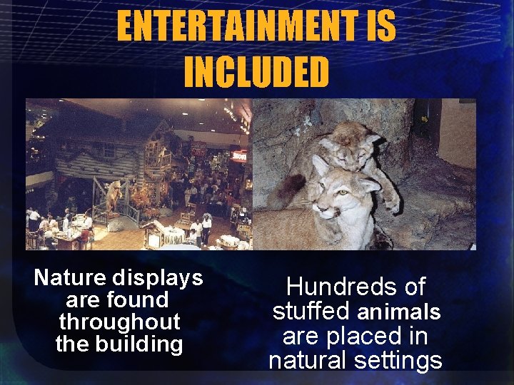 ENTERTAINMENT IS INCLUDED Nature displays are found throughout the building Hundreds of stuffed animals