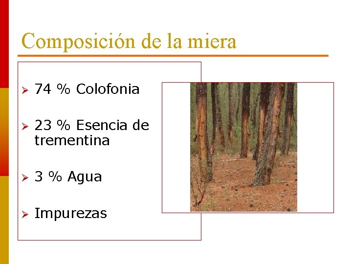 Composición de la miera 74 % Colofonia 23 % Esencia de trementina 3 %