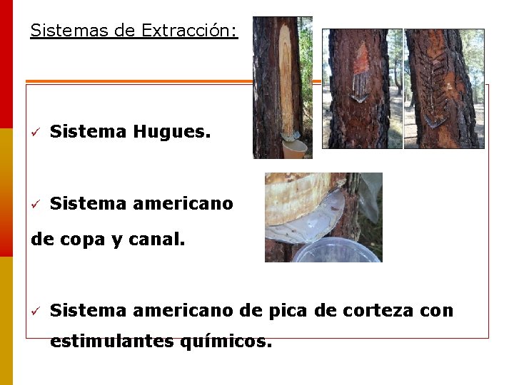 Sistemas de Extracción: Sistema Hugues. Sistema americano de copa y canal. Sistema americano de