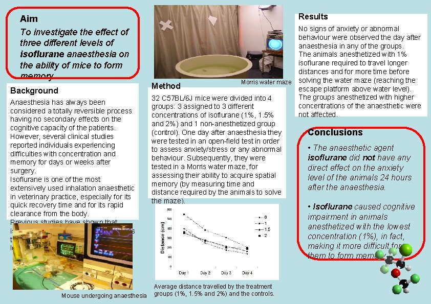 Aim To investigate the effect of three different levels of isoflurane anaesthesia on the