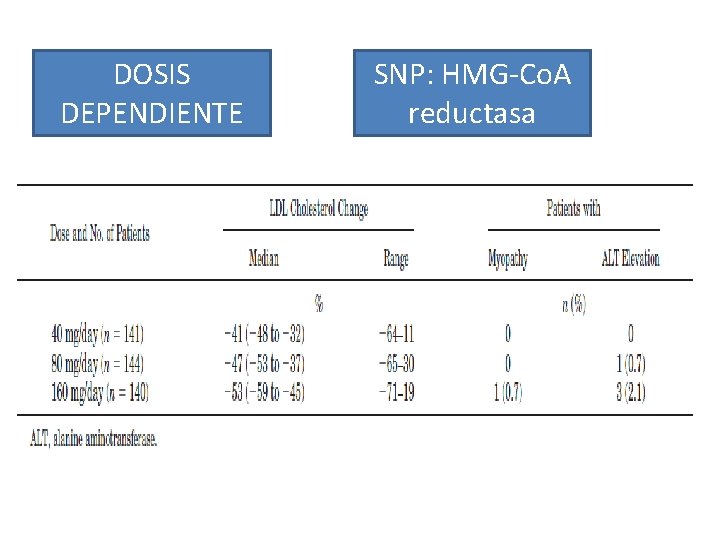 DOSIS DEPENDIENTE SNP: HMG-Co. A reductasa DOSIS DEPENDIENTE SNP: HMG-Co. A reductasa