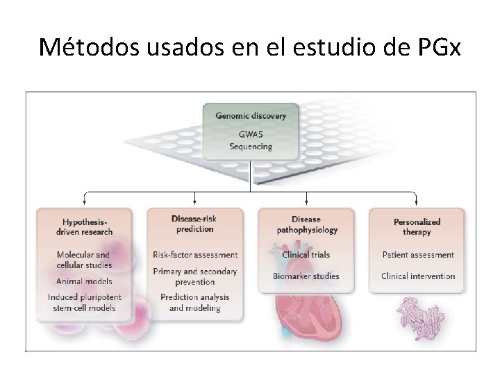Métodos usados en el estudio de PGx Métodos usados en el estudio de PGx