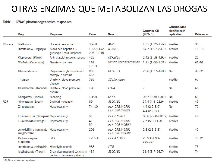 OTRAS ENZIMAS QUE METABOLIZAN LAS DROGAS OTRAS ENZIMAS QUE METABOLIZAN LAS DROGAS