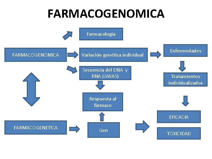 FARMACOGENOMICA Farmacología FARMACOGENOMICA Variación genética individual Secuencia del DNA y RNA (GWAS) Enfermedades Tratamientos FARMACOGENOMICA Farmacología FARMACOGENOMICA Variación genética individual Secuencia del DNA y RNA (GWAS) Enfermedades Tratamientos