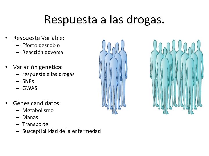 Respuesta a las drogas. • Respuesta Variable: – Efecto deseable – Reacción adversa • Respuesta a las drogas. • Respuesta Variable: – Efecto deseable – Reacción adversa •