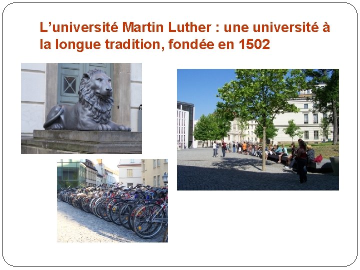 L’université Martin Luther : une université à la longue tradition, fondée en 1502 