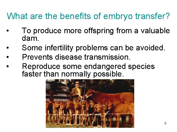 What are the benefits of embryo transfer? • • To produce more offspring from