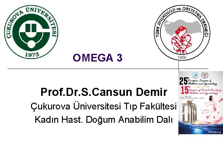 OMEGA 3 Prof. Dr. S. Cansun Demir Çukurova Üniversitesi Tıp Fakültesi Kadın Hast. Doğum