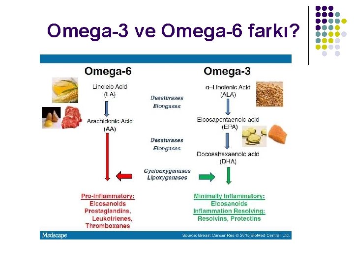 Omega-3 ve Omega-6 farkı? 