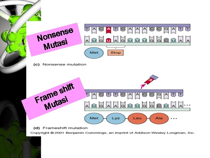 e s n e Nons si Muta t f i h s e m