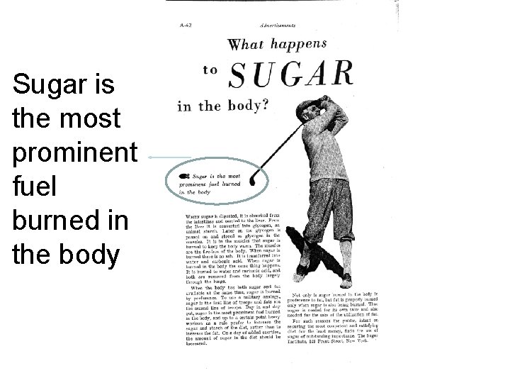Sugar is the most prominent fuel burned in the body 