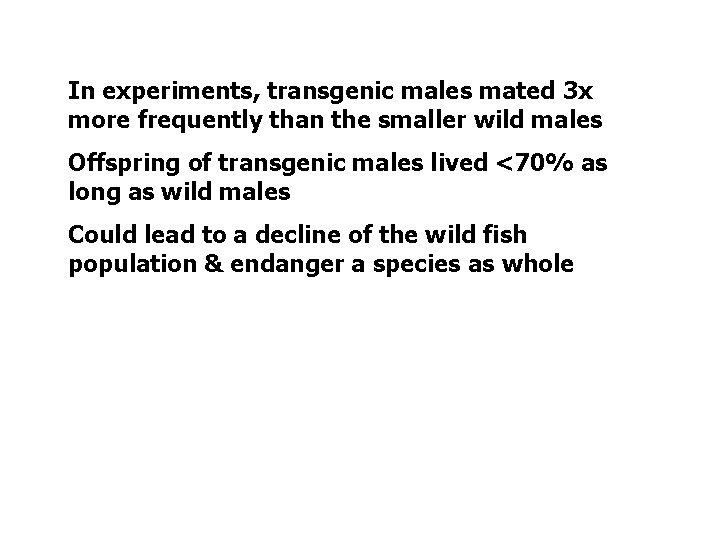 In experiments, transgenic males mated 3 x more frequently than the smaller wild males