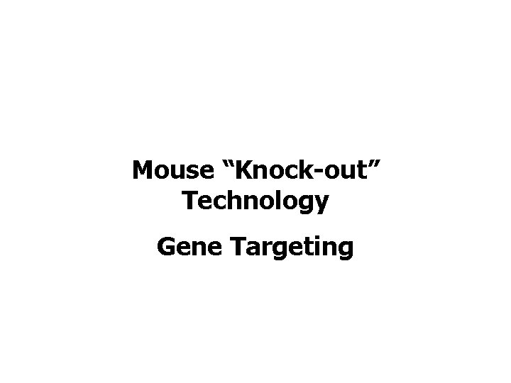 Mouse “Knock-out” Technology Gene Targeting 
