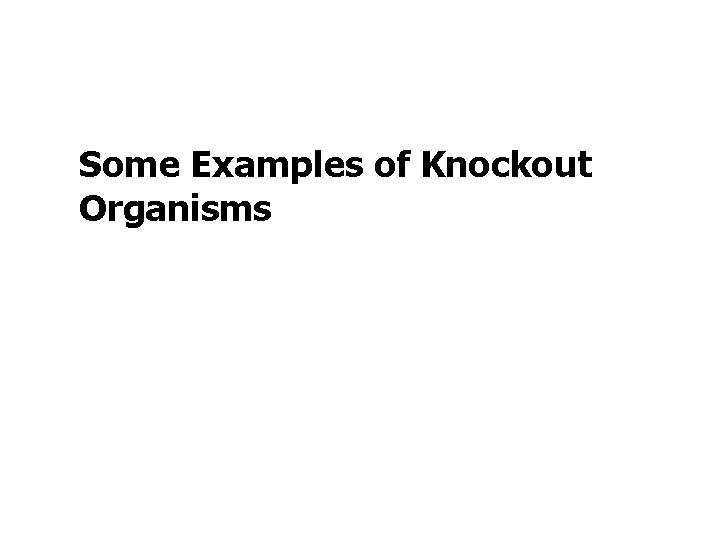 Some Examples of Knockout Organisms 