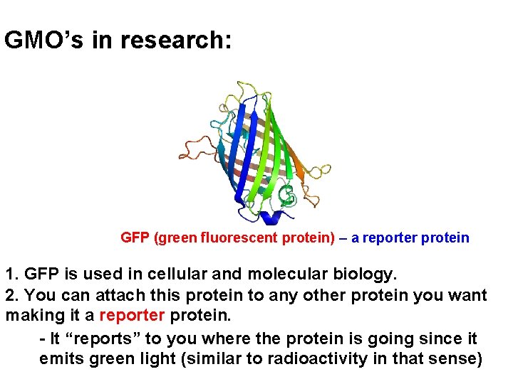 GMO’s in research: GFP (green fluorescent protein) – a reporter protein 1. GFP is