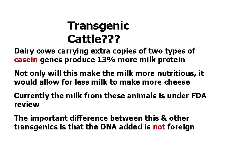 Transgenic Cattle? ? ? Dairy cows carrying extra copies of two types of casein